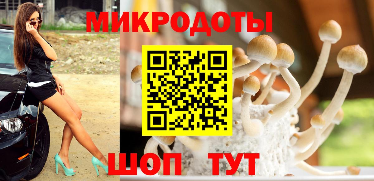 Азнакаево  Псилоцибиновые грибы Psilocybe  Псилоцибиновые грибы прущие грибы  Вход с VPN 