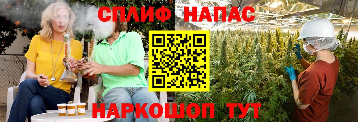 Бошки Шишки гибрид Азнакаево